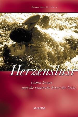 Cover of the book Herzenslust by David Deida