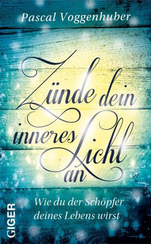 Cover of the book Zünde dein inneres Licht an by Pascal Voggenhuber