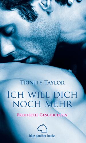 Cover of the book Ich will dich noch mehr | Erotische Geschichten by Lucy Palmer
