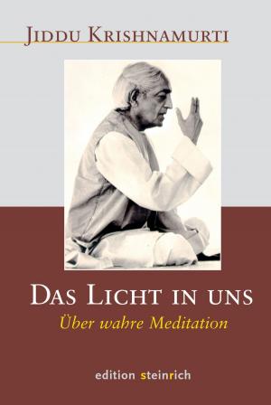 Book cover of Das Licht in uns