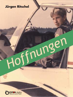 Cover of the book Hoffnungen by Uwe Berger