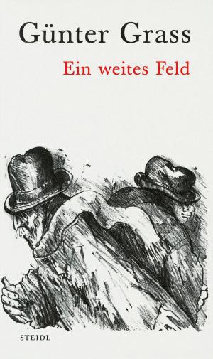 Cover of the book Ein weites Feld by Günter Grass