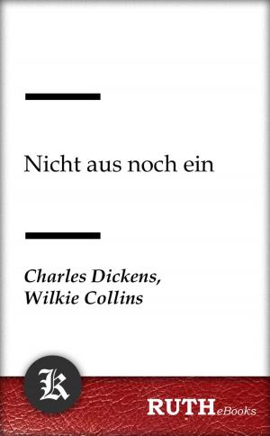 Cover of the book Nicht aus noch ein by Annette von Droste-Hülshoff