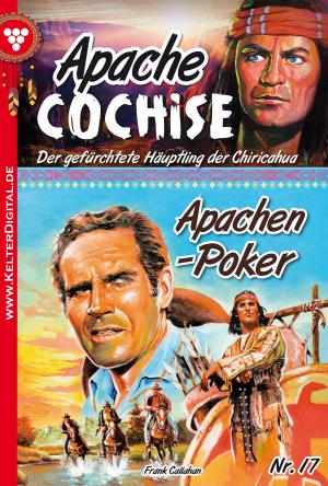 Book cover of Apache Cochise 17 – Western