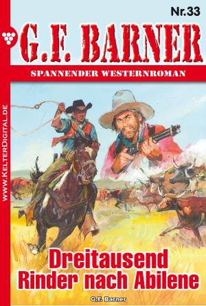 Cover of the book G.F. Barner 33 – Western by Toni Waidacher