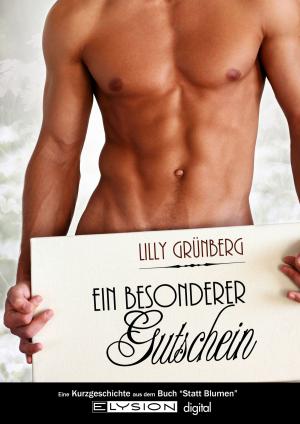 Cover of the book Ein besonderer Gutschein by Evangeline Fox