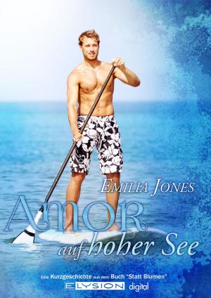 Cover of the book Amor auf hoher See by Jennifer Schreiner