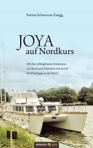 Cover of the book JOYA auf Nordkurs by Tamara Solomon