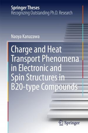 Cover of Charge and Heat Transport Phenomena in Electronic and Spin Structures in B20-type Compounds