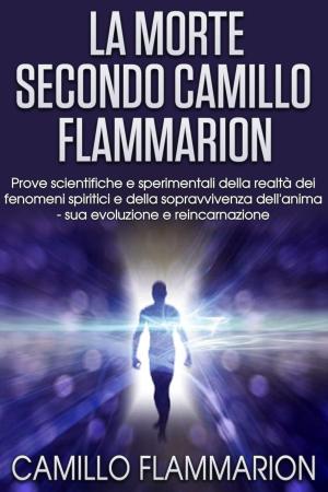 Book cover of La morte secondo Camillo Flammarion