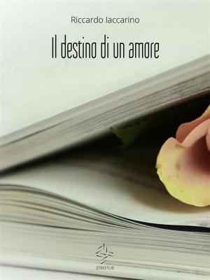 Book cover of Il destino di un amore