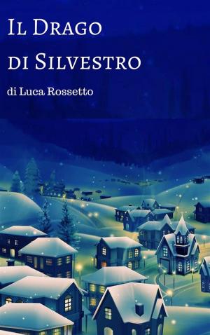 Cover of the book Il Drago di Silvestro by Tom Germann