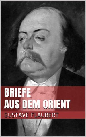 Cover of the book Briefe aus dem Orient by Theodor Herzl