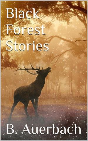 Cover of the book Black Forest Stories by Allan Leverone