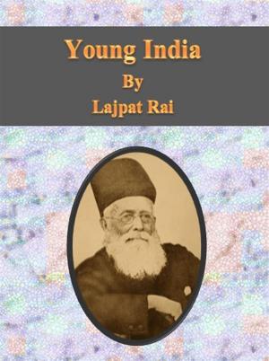 bigCover of the book Young India by 