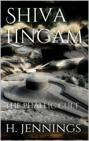 Cover of the book Shiva Lingam by Swetha Sundaram