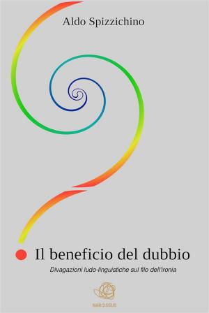 Cover of IL BENEFICIO DEL DUBBIO - divagazioni ludo-linguistiche sul filo dell'ironia