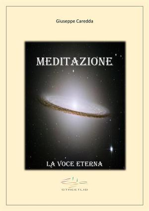 Cover of the book Meditazione by Holly Zurich