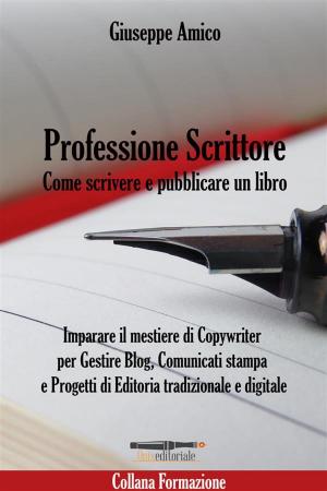 Cover of Professione Scrittore - Come scrivere e pubblicare un libro