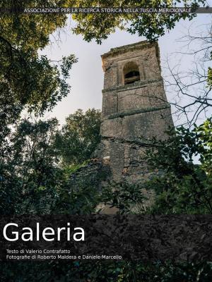 Cover of Galeria