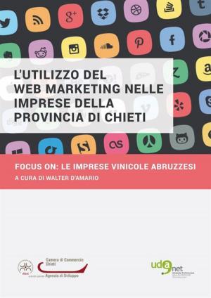 Cover of the book L'utilizzo del Web Marketing nelle imprese della provincia di Chieti. Focus on:le imprese vinicole abruzzesi by Robinson Hardin