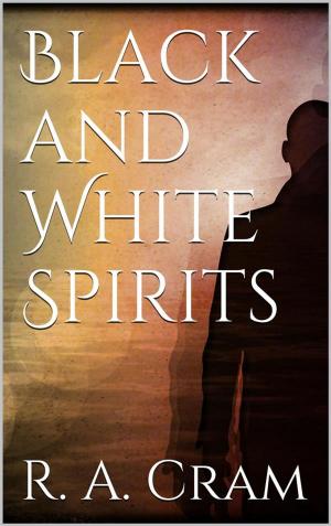 Book cover of Black and white spirits