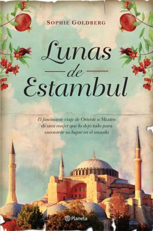 Cover of the book Lunas de Estambul by Javier Moro