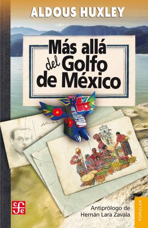Cover of the book Más allá del Golfo de México by sor Juana Inés de la Cruz