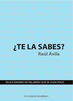 Cover of the book ¿Te la sabes? by Rebeca Barriga Villanueva