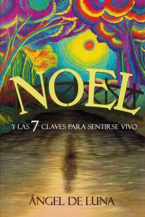 Cover of the book Noel by Steve Pavlina, Ana Carvajal