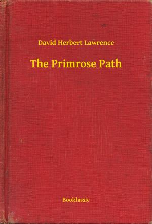 Cover of the book The Primrose Path by Robert Ervin Howard