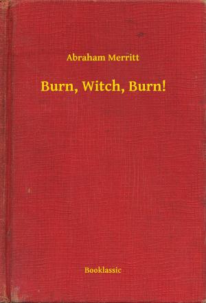 Book cover of Burn, Witch, Burn!