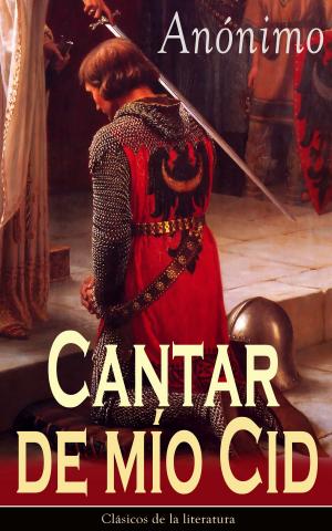 Cover of the book Cantar de mío Cid by Marcus Tullius Cicero