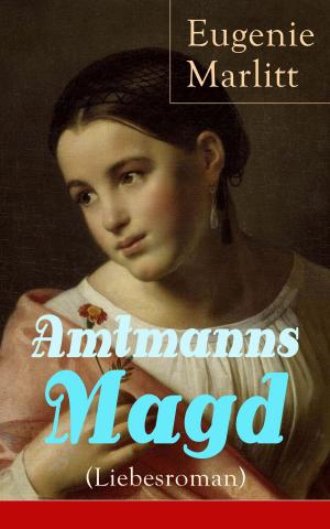 Cover of the book Amtmanns Magd (Liebesroman) by Friedrich Nietzsche