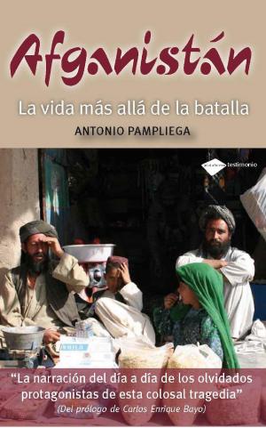 Cover of the book Afganistán by Varios Autores