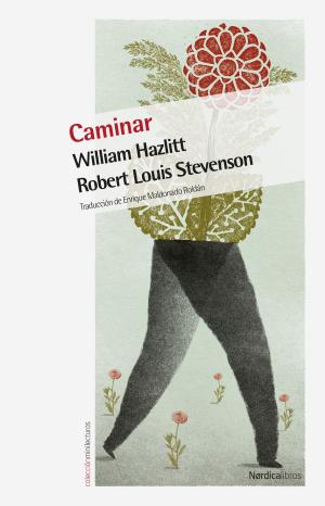 Cover of the book Caminar by Agustín Comotto