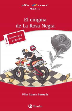 Cover of the book El enigma de La Rosa Negra (ebook) by Ilya Tourtidis
