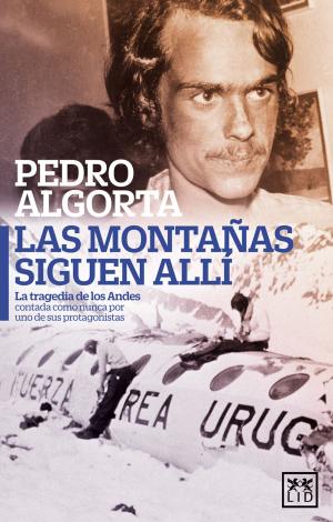 Cover of the book Las montañas siguen alí by Santiago Vázquez