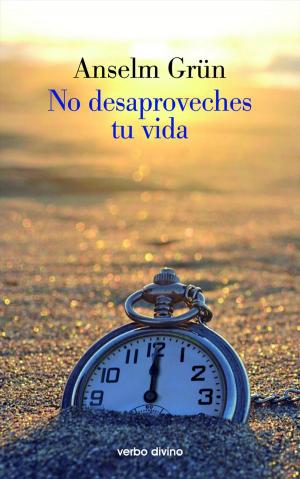 Cover of the book No desaproveches tu vida by Carmen Bernabé Ubieta