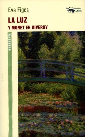 Cover of the book La luz by Baldine Saint Girons