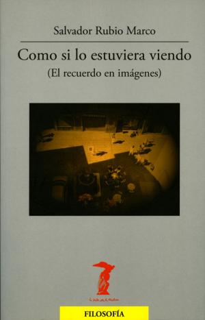 Cover of the book Como si lo estuviera viendo by Immanuel Kant