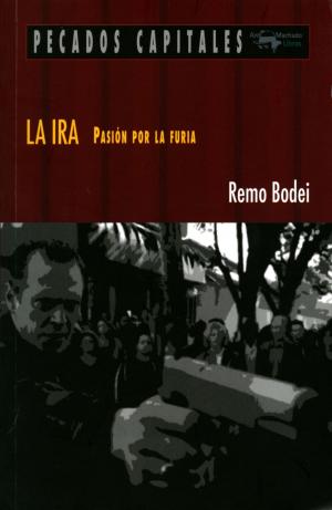 Cover of the book La ira by Juan Antonio Ramírez