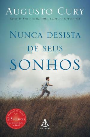Cover of the book Nunca desista de seus sonhos by Susan M. Weinschenk
