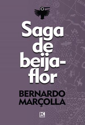 Cover of the book Saga de beija-flor: Porosidade poética através do sertão rosiano by Noga Sklar