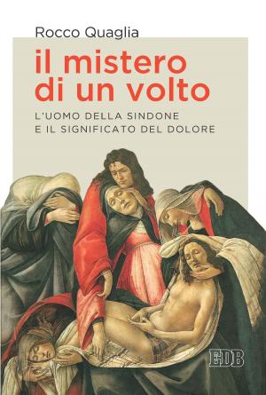 Cover of the book Il mistero di un volto by Rob Streetman