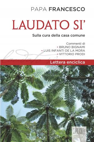 Cover of Laudato si’