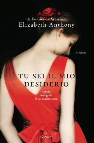 Cover of the book Tu sei il mio desiderio by Andrea Vitali