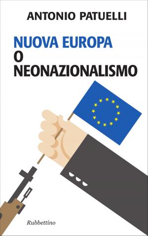 Book cover of Nuova Europa o neonazionalismo