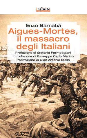 Book cover of Aigues-Mortes, il massacro degli italiani