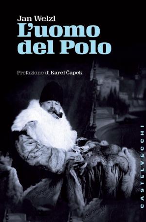 Cover of the book L’uomo del polo by Ernest Renan, Giovanni Belardelli